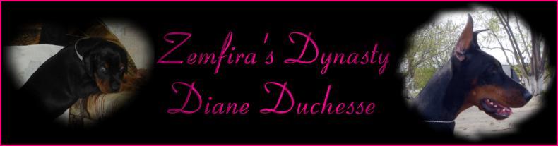 Официальный сайт добермана Zemfira's Dynasty Diane Duchesse